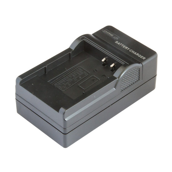 DB-100 Charger (Ricoh)