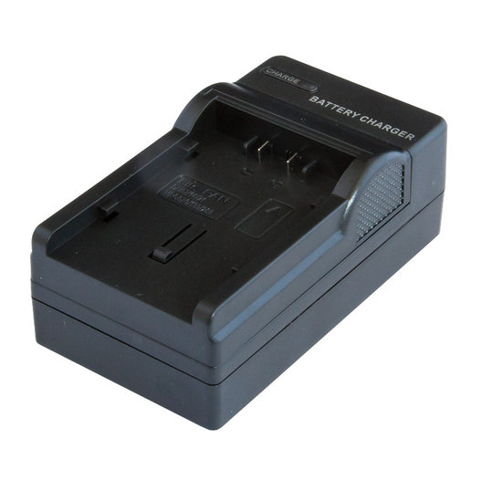 VWVBG260 Charger (Panasonic)